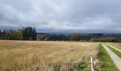 Trail Walking Tenneville - rando wyompont 24-10-2025 - Photo 11