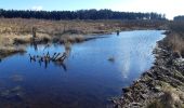 Trail Walking Manhay - plateau des tailles depuis Odeigne  - Photo 7