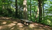 Trail Walking Liège - A la découverte du Sart-Tilman 🥾 - Photo 6