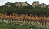 Randonnée Marche Narbonne - La Clape - Trou de la Crouzade - Photo 4