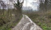 Trail Walking Walcourt - Walcourt 13 km - Photo 20