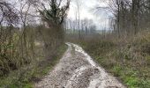 Percorso Marcia Walcourt - Walcourt 13 km - Photo 20