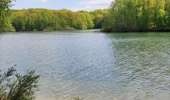 Trail Walking Froidchapelle - La balade du bois du Grand Oupia aux lacs de l'eau d'heure - Photo 18