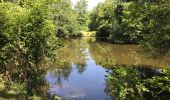 Tour Wandern Guémené-Penfao - 03.07.2019 - AUTOUR DE GUÉMENÉ-PENFAO - Photo 13