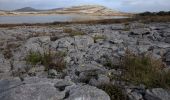 Tour Zu Fuß West Clare Municipal District - Mullaghmore loop blue - Photo 3