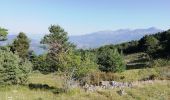 Trail Walking Pontis - Pontis Le Morgonnet 9km - Photo 7