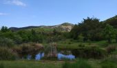 Excursión Senderismo Mazaugues - Forêt de Mazaugues - Photo 3