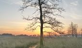 Tour Zu Fuß Henstedt-Ulzburg - Rundweg um Alsterniederung und Schlappenmoor - Photo 3