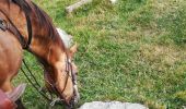 Tour Reiten Plainfaing - Acpl plainfaing le groube  - Photo 3