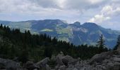 Randonnée Marche Glières-Val-de-Borne - BARGY: LAC DE LESSY - Photo 10