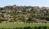 Randonnée Marche Forcalquier - CR_Domitia_BI_07_Forcalquier_Lurs_20160909 - Photo 3