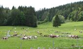 Excursión Senderismo Lamoura - Jura 07-06-2019 - Photo 3