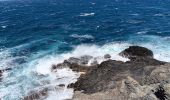 Tour Wandern Port-Vendres - les Paulilles - Cap Bear via le sentier du littoral  / retour via collines et vignes  - Photo 14