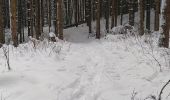 Tour Schneeschuhwandern Charix - Col du sentier- Lac Genin - Photo 1