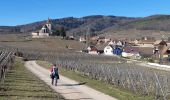 Randonnée Marche Mittelwihr - Les perles du vignoble  : Mittelwihr - Beblenheim - Zellenberg - Hunawihr - Riquewihr. - Photo 18