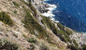 Trail Walking La Seyne-sur-Mer - Le Cap Sicié, sentier du littoral - Photo 10