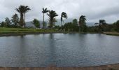Trail Walking Le Morne-Rouge - Boucle Chazeau, Cap 21 - Photo 1