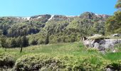 Percorso Marcia La Bresse - le sentier des roches ... le Hohneck depuis la route des crêtes  - Photo 5