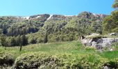 Excursión Senderismo La Bresse - le sentier des roches ... le Hohneck depuis la route des crêtes  - Photo 5