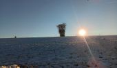 Trail Walking Sprimont - compagne de florzé dans la neige - Photo 4