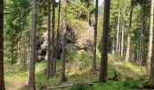 Tour Zu Fuß Unbekannt - Gipfelwanderweg Suhl (Thüringer Wald) - Photo 4