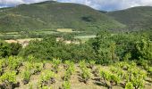 Tour Wandern Villemagne-l'Argentière - Ppp - Photo 3