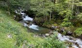 Tour Wandern Cauterets - Raillière-lac Estom - Photo 5