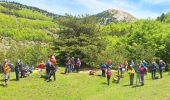 Randonnée Marche Châtillon-en-Diois - jocou sans jocou - Photo 2