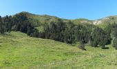Trail Walking Chézery-Forens - Cret de la Goutte 13.5 km D+650 m 20210811 - Photo 2