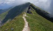 Tour Wandern Les Contamines-Montjoie - Aiguille Croche et Crête 7.7.22 - Photo 3