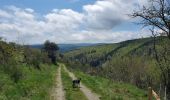 Tocht Stappen Cheylard-l'Évêque - La haute vallee du Langouyrou par Cheylard_l'Eveque - Photo 2