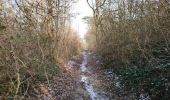 Trail Walking Beaumont-Louestault - Beaumont-la-Ronce - PR 1 - 9.7km 125m 2h15 - 2021 02 13 - Photo 3
