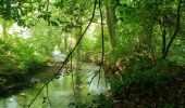 Excursión Marcha nórdica Le Drennec - le drenec. Loc brevelaire  - Photo 1