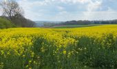 Tour Wandern Huldenberg - Sint Agata Rode 16,5 km - Photo 14