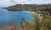 Trail Walking Les Anses-d'Arlet - Galoche - Esperance - Photo 4