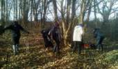 Randonnée Marche Chevreuse - Chevreuse sans le chateau de la MADELEINE - Photo 6