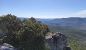 Excursión Senderismo Méounes-lès-Montrieux - reco Jas du Murier - Photo 4