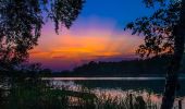 Tour Zu Fuß Malschwitz - Naturerlebnispfad „Guttauer Teiche & Olbasee Tour Zu Fuß Malschwitz - Naturerlebnispfad „Guttauer Teiche & Olbasee