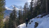Trail Walking Anniviers - Grimentz Parcours de la Montagnetta (PVDB) - Photo 14