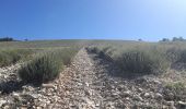 Tour Wandern Mévouillon - montagne du Buc - Photo 1