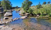 Tocht Stappen Pont de Montvert - Sud Mont Lozère - T-Le Merlet - Photo 2