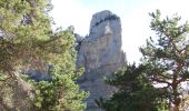 Randonnée Marche Châtillon-en-Diois - Montagne de Beaupuy - Nonnières - Photo 5