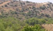 Excursión A pie מועצה אזורית גליל עליון - שביל נחל עכברה - Photo 7