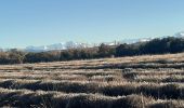 Tour Wandern Les Mées - DABICE Chapelle S Honorat , Jas des Aires , Jas des Dourbes  , Chateau au Levin , la Baume , o n - Photo 6