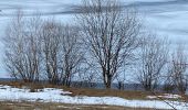 Randonnée Marche Mijanès - Mijanès prairie d’artigues  - Photo 2