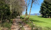 Trail Walking Miribel-les-Échelles - Circuit panoramique au départ de Miribelle - Photo 12