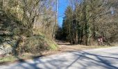Trail Walking Anthisnes - Anthines - AS03 - Boucle de Tolumont - Losange Bleu - Photo 20