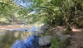 Tour Wandern Hohenfels - rando nadrin 10-09-2023 - Photo 7