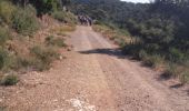 Trail Walking Pierrefeu-du-Var - La portanière Pierrefeu - Photo 1