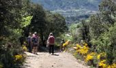 Tocht Stappen Aínsa-Sobrarbe - el grado Guaso Sierra puis voiture jusqu'à Sarratillo - Photo 6